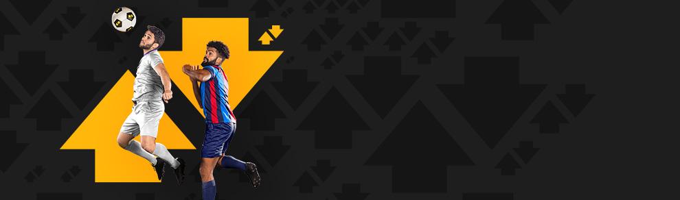 Banner image